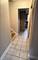 8720 Karlov, Skokie, IL 60076