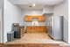4209 W Wilcox, Chicago, IL 60624