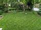 1414 W Grove, Arlington Heights, IL 60005