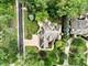 1727 Stoddard, Wheaton, IL 60187