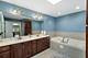 9935 Menard, Oak Lawn, IL 60453