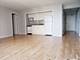 3100 N Lake Shore Unit 1013, Chicago, IL 60657