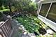 2625 Bobwhite, West Chicago, IL 60185