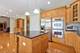 8421 W Blackthorne, Frankfort, IL 60423