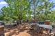 8421 W Blackthorne, Frankfort, IL 60423