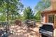 8421 W Blackthorne, Frankfort, IL 60423