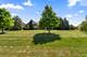 8421 W Blackthorne, Frankfort, IL 60423