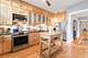 6223 N Magnolia Unit 1N, Chicago, IL 60660