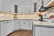 1777 W Crystal Unit 410, Mount Prospect, IL 60056