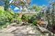 337 Greenleaf Unit C, Wilmette, IL 60091
