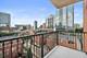1717 S Prairie Unit 705, Chicago, IL 60616