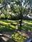 711 S River Unit 401, Des Plaines, IL 60016