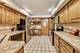 5533 N Forest Glen, Chicago, IL 60630