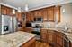 8638 Saddlebred, Frankfort, IL 60423