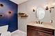 207 Schreiber, Roselle, IL 60172