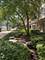 50 N Bokelman Unit 333, Roselle, IL 60172