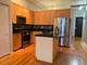 950 W Monroe Unit 407, Chicago, IL 60607