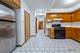 1639 S Blue Island, Chicago, IL 60608