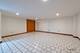 1639 S Blue Island, Chicago, IL 60608
