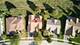 11972 Stonewater, Huntley, IL 60142