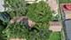 611 Hirsch, Calumet City, IL 60409