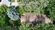 611 Hirsch, Calumet City, IL 60409