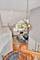 0S170 Bealer, Geneva, IL 60134