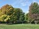 2238 W Argyle Unit 2, Chicago, IL 60625