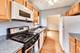 243 Washington Unit 3A, Oak Park, IL 60302