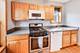 243 Washington Unit 3A, Oak Park, IL 60302