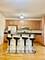 2517 S Mary, Chicago, IL 60608