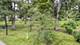 0S351 Wynwood, Winfield, IL 60190