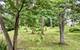 0S351 Wynwood, Winfield, IL 60190