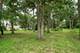 0S351 Wynwood, Winfield, IL 60190