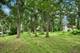 0S351 Wynwood, Winfield, IL 60190