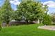 808 Violet, Naperville, IL 60540