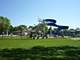 390 Springside, Buffalo Grove, IL 60089