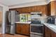 4 Potawatomie Unit 4, Indian Head Park, IL 60525
