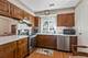 4 Potawatomie Unit 4, Indian Head Park, IL 60525