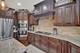 8679 Cullen, Frankfort, IL 60423