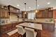 8679 Cullen, Frankfort, IL 60423