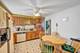 1338 Radcliffe, Schaumburg, IL 60193