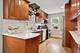 6752 W Rascher, Chicago, IL 60656