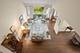 28 Warrington, Lake Bluff, IL 60044