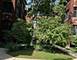 512 Madison Unit 1S, Oak Park, IL 60302