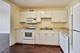 1660 N Lasalle Unit 1108, Chicago, IL 60614