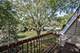 1622 Bay, Naperville, IL 60565