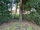 421 Summit, Schaumburg, IL 60193