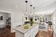 3036 N Long, Chicago, IL 60641