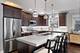 3422 N Bosworth Unit 1, Chicago, IL 60657